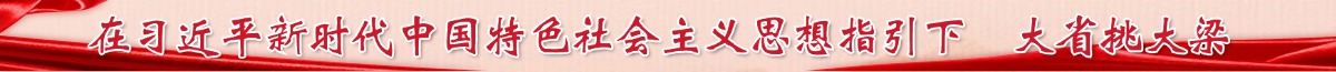 在習(xí)近平新時代中國特色社會主義思想指引下  大省挑大梁
